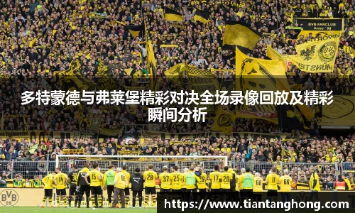 多特蒙德与弗莱堡精彩对决全场录像回放及精彩瞬间分析